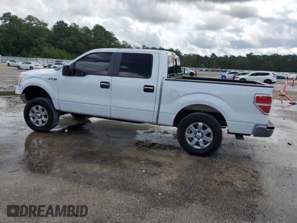 2013 Ford F-150 XL z VIN 1FTFW1CF7DFB80000, wystawiony jako Copart lot #68491135 z przebiegiem 174 522 mil mil oraz Szkoda całkowita • Salvage title. Historia ofert i sprzedaży dostępna na DreamBid. Obrazek 2.