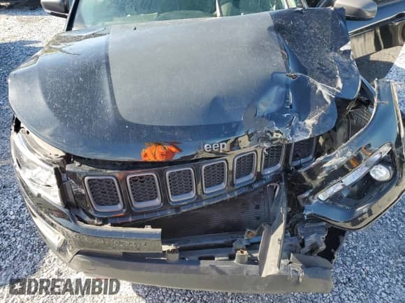 2017 Jeep Compass Trailhawk with VIN 3C4NJDDBXHT607219, listed as a Copart auction lot 69511815 with Not provided miles and Salvage title. Bid and sale history available at DreamBid. Image 12.