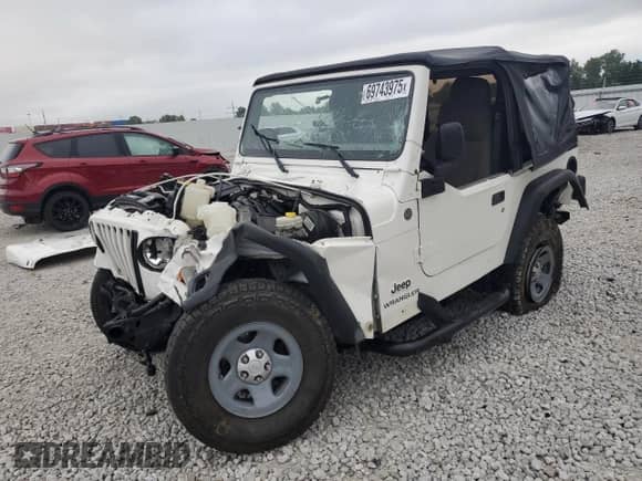 2004 Jeep Wrangler SE with VIN 1J4FA29114P753042, listed as a Copart auction lot 69743975 with Not provided miles and Salvage title. Bid and sale history available at DreamBid. Image 1.