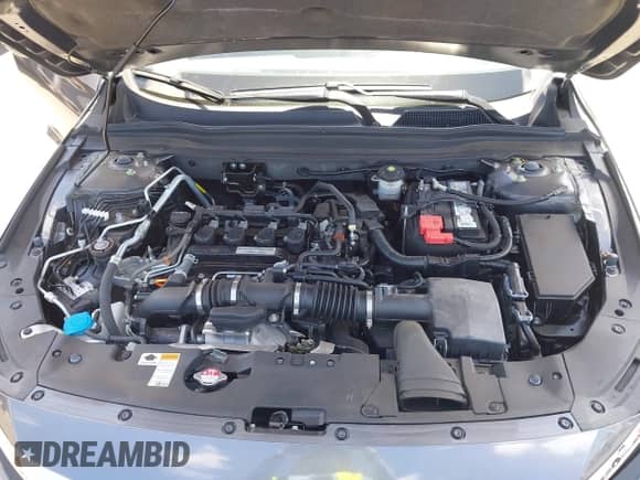 2020 Honda Accord EX-L with VIN 1HGCV1F55LA011051, listed as a IAAI auction lot 42867258 with 18,965 mi miles and . Bid and sale history available at DreamBid. Image 10.