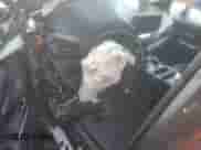 2025 Toyota Sienna Limited с VIN 5TDZSKFC4SS205139, выставлен на аукционе Copart как лот 81663155 с пробегом Не указан миль и Списание • Salvage title. История ставок и продаж доступна на DreamBid. Изображение 8.