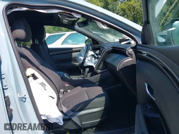2022 Hyundai Santa Cruz SEL Premium с VIN 5NTJDDAF0NH029223, выставлен на аукционе IAAI как лот 42897633 с пробегом 18 584 миль миль и . История ставок и продаж доступна на DreamBid. Изображение 5.