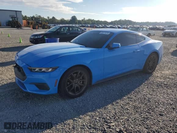 2024 Ford Mustang EcoBoost с VIN 1FA6P8TH1R5114360, выставлен на аукционе Copart как лот 80071875 с пробегом 26 141 миль миль и Списание • Salvage title. История ставок и продаж доступна на DreamBid. Изображение 1.