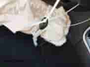 2017 Toyota Camry XLE z VIN 4T1BF1FK7HU451173, wystawiony jako IAAI lot #43172057 z przebiegiem 130 810 mil mil oraz . Historia ofert i sprzedaży dostępna na DreamBid. Obrazek 11.