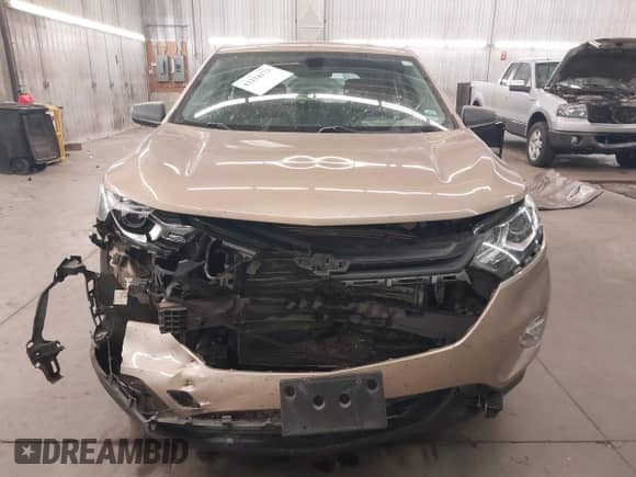 2019 Chevrolet Equinox LS with VIN 2GNAXHEV7K6199391, listed as a IAAI auction lot 42234173 with 106,275 mi miles and . Bid and sale history available at DreamBid. Image 13.