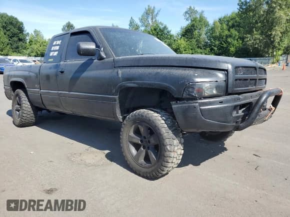 1996 Dodge 1500 with VIN 3B7HF13Z5TG193442, listed as a Copart auction lot 61640935 with 250,587 mi miles and Salvage title. Bid and sale history available at DreamBid. Image 4.