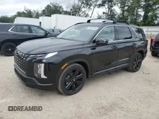 2025 Hyundai Palisade XRT with VIN KM8R3DGE0SU834851, listed as a Copart auction lot 69666385 with 132 mi miles and Salvage title. Bid and sale history available at DreamBid. Image 1.