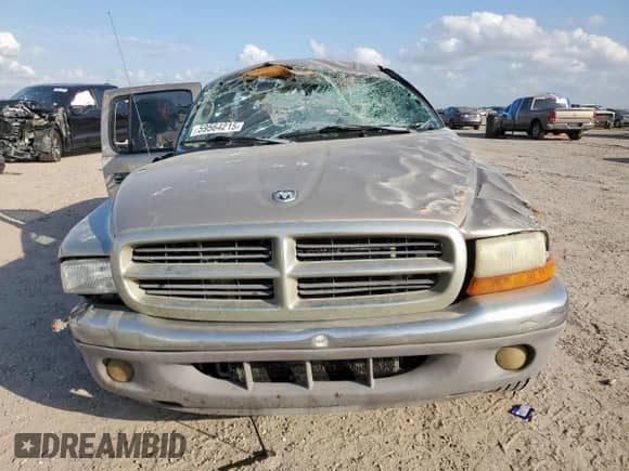 2003 Dodge Dakota SLT with VIN 1D7HL48N03S321200, listed as a Copart auction lot 59564215 with Not provided miles and Salvage title. Bid and sale history available at DreamBid. Image 5.