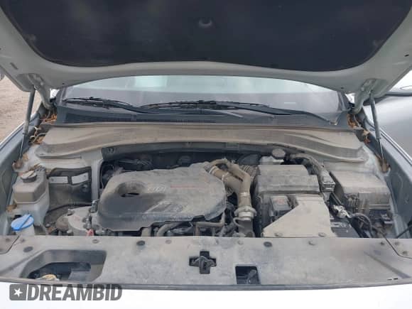 2019 Hyundai Santa Fe Limited with VIN 5NMS53AA4KH061342, listed as a IAAI auction lot 41573631 with 98,498 mi miles and . Bid and sale history available at DreamBid. Image 10.