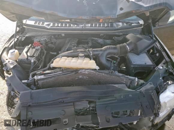 2017 Ford F-150 XL z VIN 1FTEW1EP3HFB33912, wystawiony jako Copart lot #62504415 z przebiegiem Nie podano mil oraz Szkoda całkowita • Salvage title. Historia ofert i sprzedaży dostępna na DreamBid. Obrazek 11.