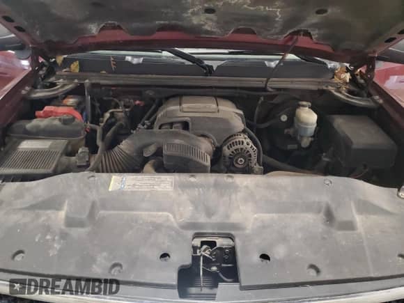 2009 Chevrolet Silverado 1500 LT with VIN 1GCEK29J19Z217492, listed as a Copart auction lot 82693755 with 243,166 mi miles and Clean title. Bid and sale history available at DreamBid. Image 11.