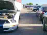 2009 Ford Mustang Shelby GT500 z VIN 1ZVHT88S395134593, wystawiony jako Copart lot #65560435 z przebiegiem 48 924 mil mil oraz Czysty tytuł • Clean title. Historia ofert i sprzedaży dostępna na DreamBid. Obrazek 11.