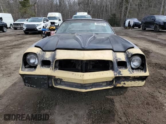 1980 Chevrolet Camaro with VIN 1P87LAN555875, listed as a Copart auction lot 50883245 with 68,406 mi miles and Clean title. Bid and sale history available at DreamBid. Image 5.