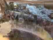 2023 Toyota Tacoma SR с VIN 3TMCZ5AN2PM536529, выставлен на аукционе Copart как лот 80729225 с пробегом Не указан миль и На запчасти • Non repairable. История ставок и продаж доступна на DreamBid. Изображение 9.