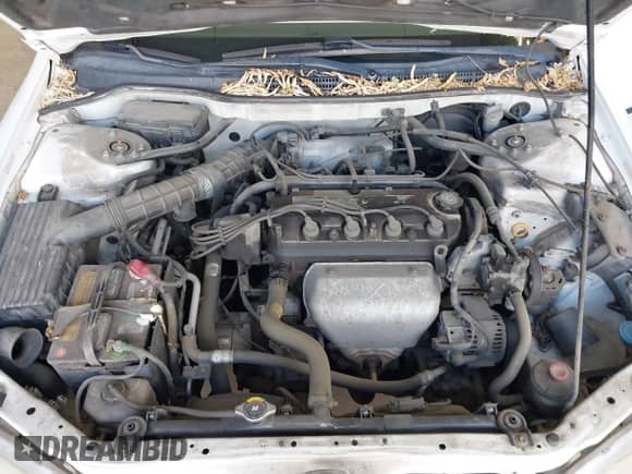 2000 Honda Accord LX with VIN 1HGCG6554YA158980, listed as a IAAI auction lot 43421281 with 358,049 mi miles and . Bid and sale history available at DreamBid. Image 10.