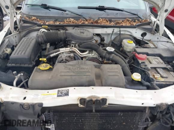 2002 Dodge Dakota с VIN 1B7GL12X82S682462, выставлен на аукционе IAAI как лот 43037033 с пробегом 139 950 миль миль и . История ставок и продаж доступна на DreamBid. Изображение 10.