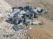 2019 Toyota Camry SE z VIN 4T1B11HK4KU713539, wystawiony jako Copart lot #82733965 z przebiegiem 52 275 mil mil oraz Szkoda całkowita • Salvage title. Historia ofert i sprzedaży dostępna na DreamBid. Obrazek 12.