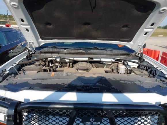 2019 Chevrolet Silverado 1500 Custom z VIN 2GCVKMEC7K1243970, wystawiony jako IAAI lot #43347102 z przebiegiem 79 556 mil mil oraz . Historia ofert i sprzedaży dostępna na DreamBid. Obrazek 10.