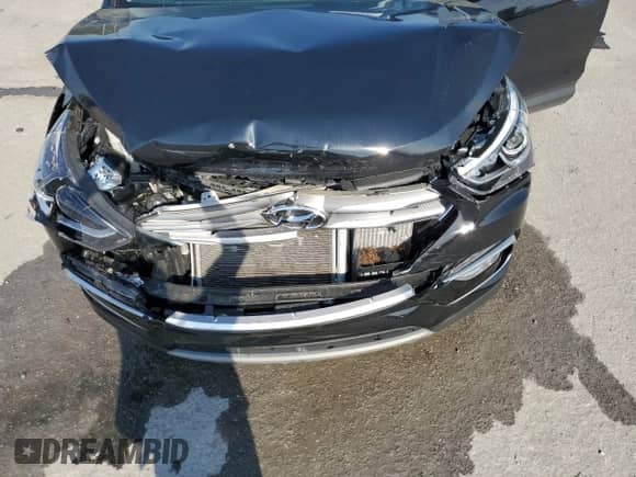 2018 Hyundai Santa Fe 2.0T with VIN 5XYZU4LA9JG548646, listed as a Copart auction lot 50893395 with 29,137 mi miles and Salvage title. Bid and sale history available at DreamBid. Image 12.