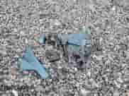 2025 Toyota Camry LE with VIN 4T1DAACK5SU570424, listed as a Copart auction lot 80107055 with Not provided miles and Non repairable. Bid and sale history available at DreamBid. Image 12.