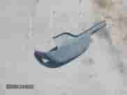 2002 Chevrolet Tahoe Z71 z VIN 1GNEK13T22R314086, wystawiony jako IAAI lot #42559524 z przebiegiem 256 113 mil mil oraz . Historia ofert i sprzedaży dostępna na DreamBid. Obrazek 12.