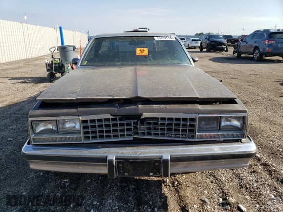 1983 Chevrolet El Camino с VIN 1GCCW80H5DR255003, выставлен на аукционе Copart как лот 63256084 с пробегом 23 199 миль миль и Списание • Salvage title. История ставок и продаж доступна на DreamBid. Изображение 5.