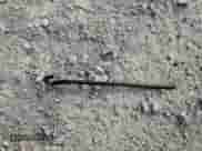 2019 Kia Sorento LX with VIN 5XYPGDA50KG488259, listed as a Copart auction lot 67417655 with 75,277 mi miles and Non repairable. Bid and sale history available at DreamBid. Image 13.