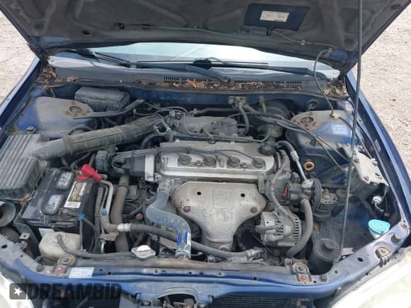 2001 Honda Accord LX with VIN JHMCG56481C005770, listed as a IAAI auction lot 42679889 with 219,186 mi miles and . Bid and sale history available at DreamBid. Image 10.