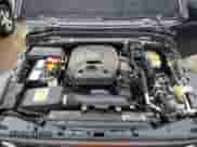 2021 Jeep Wrangler Willys with VIN 1C4GJXAN2MW596326, listed as a Copart auction lot 79252174 with Not provided miles and Salvage title. Bid and sale history available at DreamBid. Image 12.