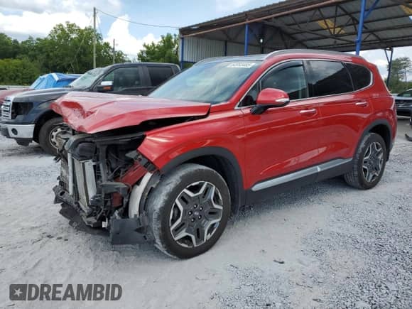 2022 Hyundai Santa Fe Limited с VIN 5NMS4DAL1NH462524, выставлен на аукционе Copart как лот 64993485 с пробегом 46 719 миль миль и Списание • Salvage title. История ставок и продаж доступна на DreamBid. Изображение 1.
