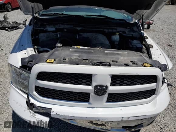 2015 Ram 1500 Big Horn with VIN 1C6RR7LG5FS673501, listed as a Copart auction lot 57422115 with 141,192 mi miles and Salvage title. Bid and sale history available at DreamBid. Image 11.