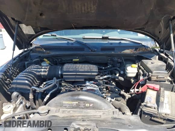 2005 Dodge Dakota SLT z VIN 1D7HE48N25S142458, wystawiony jako IAAI lot #43213106 z przebiegiem 196 705 mil mil oraz . Historia ofert i sprzedaży dostępna na DreamBid. Obrazek 10.