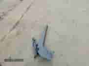 2012 Chevrolet Sonic LT z VIN 1G1JD5SB5C4218560, wystawiony jako Copart lot #75256184 z przebiegiem 182 339 mil mil oraz Szkoda całkowita • Salvage title. Historia ofert i sprzedaży dostępna na DreamBid. Obrazek 12.