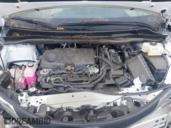 2024 Toyota Sienna XLE with VIN 5TDYRKEC3RS190670, listed as a IAAI auction lot 42811953 with Not provided miles and . Bid and sale history available at DreamBid. Image 10.