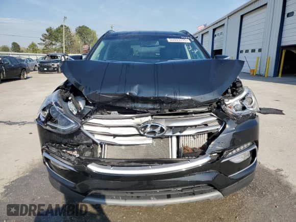 2018 Hyundai Santa Fe 2.0T with VIN 5XYZU4LA9JG548646, listed as a Copart auction lot 50893395 with 29,137 mi miles and Salvage title. Bid and sale history available at DreamBid. Image 5.