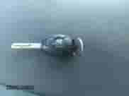 2004 BMW Z4 2.5i with VIN 4USBT33524LR67071, listed as a IAAI auction lot 41632627 with 106,084 mi miles and . Bid and sale history available at DreamBid. Image 11.