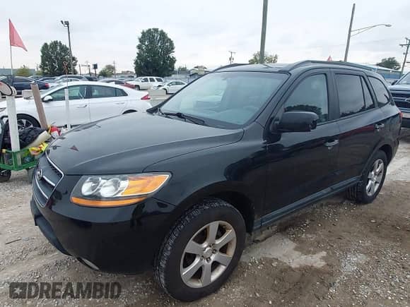 2009 Hyundai Santa Fe Limited with VIN 5NMSH13E29H308718, listed as a IAAI auction lot 43465931 with 123,897 mi miles and . Bid and sale history available at DreamBid. Image 2.