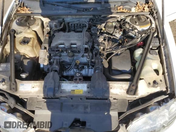1998 Chevrolet Lumina с VIN 2G1WL52MXW9110723, выставлен на аукционе Copart как лот 81886434 с пробегом 105 167 миль миль и На запчасти • Non repairable. История ставок и продаж доступна на DreamBid. Изображение 11.