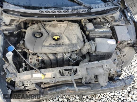 2014 Hyundai Elantra with VIN KMHDH6AH6EU024803, listed as a Copart auction lot 72188444 with Not provided miles and Salvage title. Bid and sale history available at DreamBid. Image 13.