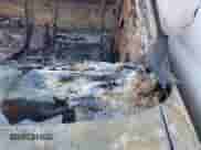 2000 Chevrolet S-10 LS with VIN 1GCDT14W3YK137589, listed as a IAAI auction lot 43352291 with Not provided miles and . Bid and sale history available at DreamBid. Image 9.