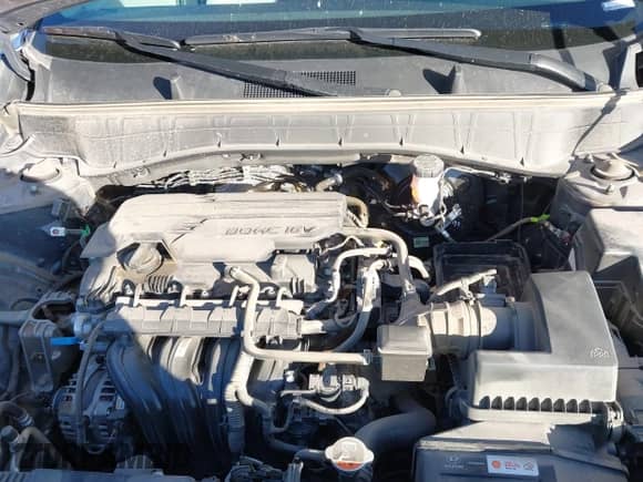 2025 Hyundai Kona SEL с VIN KM8HBCAB3SU241945, выставлен на аукционе IAAI как лот 43505676 с пробегом 28 042 миль миль и . История ставок и продаж доступна на DreamBid. Изображение 10.