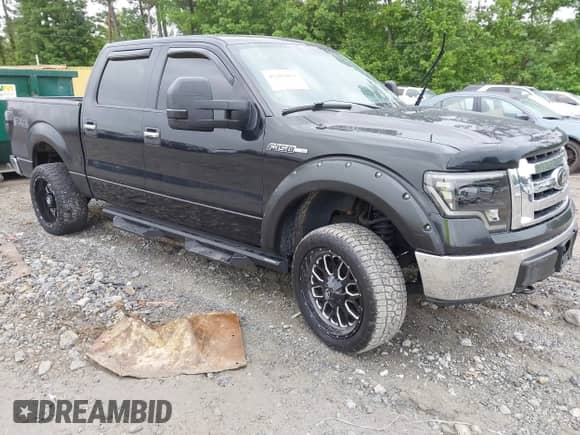 2010 Ford F-150 XL with VIN 1FTEW1E89AFB27093, listed as a IAAI auction lot 42202053 with 228,796 mi miles and . Bid and sale history available at DreamBid. Image 1.
