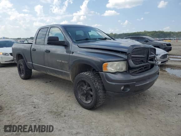 2002 Dodge 1500 z VIN 3D7HU18Z12G179539, wystawiony jako Copart lot #68440785 z przebiegiem 172 380 mil mil oraz Szkoda całkowita • Salvage title. Historia ofert i sprzedaży dostępna na DreamBid. Obrazek 4.