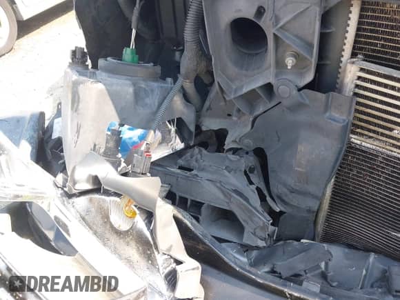 2011 Dodge Nitro Heat with VIN 1D4PU4GK8BW537638, listed as a IAAI auction lot 42669447 with Not provided miles and . Bid and sale history available at DreamBid. Image 19.