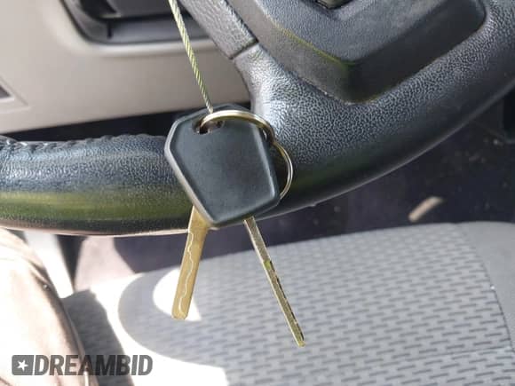 2017 Ford F-150 XL z VIN 1FTEW1CP8HKC04192, wystawiony jako IAAI lot #43060411 z przebiegiem 142 674 mil mil oraz . Historia ofert i sprzedaży dostępna na DreamBid. Obrazek 11.