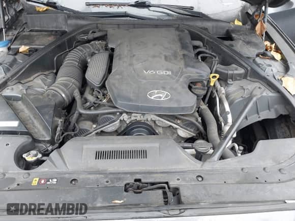 2015 Hyundai Genesis 3.8L z VIN KMHGN4JE6FU070150, wystawiony jako IAAI lot #42479687 z przebiegiem 280 601 mil mil oraz . Historia ofert i sprzedaży dostępna na DreamBid. Obrazek 10.