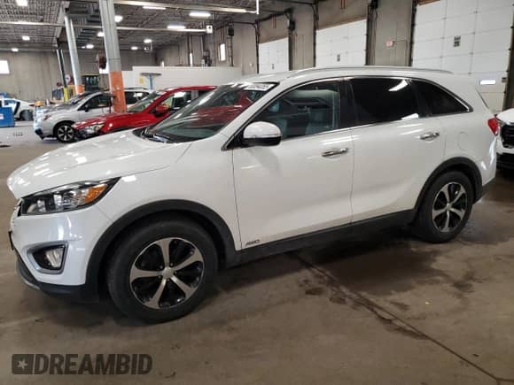 2017 Kia Sorento EX with VIN 5XYPHDA10HG243898, listed as a Copart auction lot 60094355 with 160,623 mi miles and Salvage title. Bid and sale history available at DreamBid. Image 1.