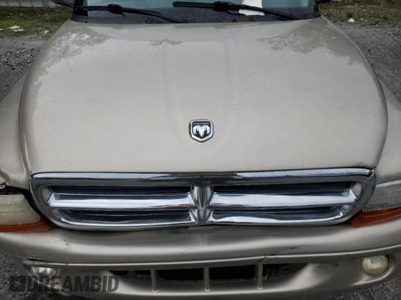 2003 Dodge Durango SLT with VIN 1D4HR48N83F560384, listed as a Copart auction lot 69909915 with 187,826 mi miles and Salvage title. Bid and sale history available at DreamBid. Image 12.