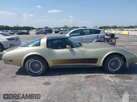 1982 Chevrolet Corvette z VIN 1G1AY0787C5122170, wystawiony jako IAAI lot #42295534 z przebiegiem 118 268 mil mil oraz . Historia ofert i sprzedaży dostępna na DreamBid. Obrazek 13.