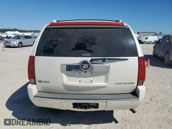 2010 Cadillac Escalade with VIN 1GYUCEEJ9AR210420, listed as a Copart auction lot 76682934 with 163,230 mi miles and Clean title. Bid and sale history available at DreamBid. Image 6.